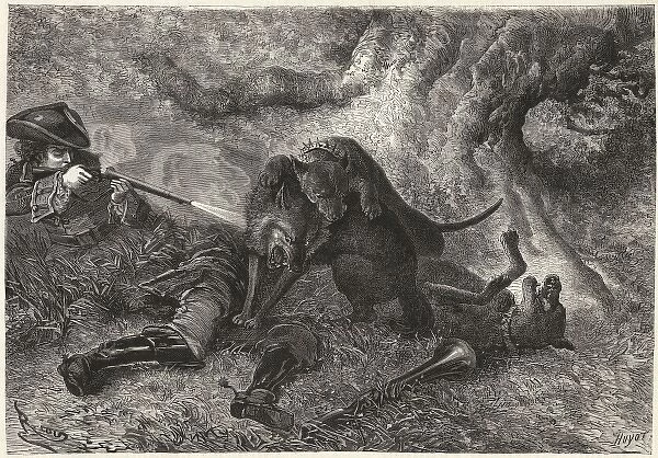 Beast  /  Gevaudan  /  1873