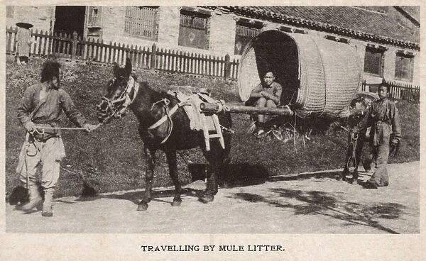 China - Travelling by Mule Litter