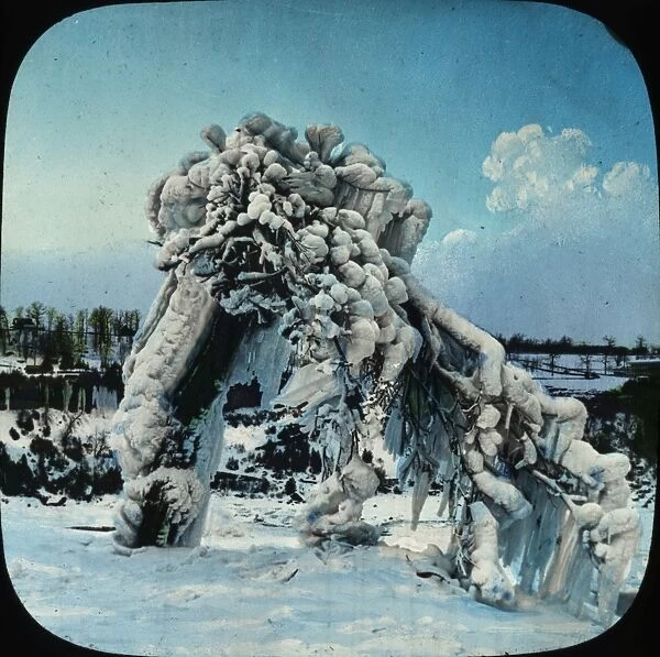 Frozen Trees - Prospect Park, Niagara, NY State, USA