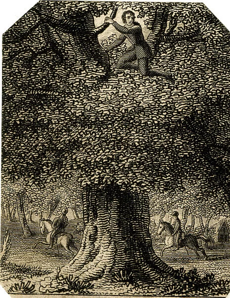 King Charles II in the oak - 18th century engraving