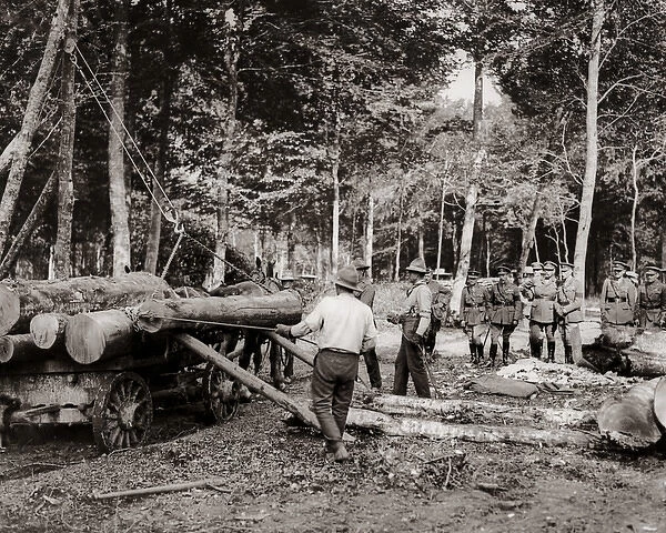 Loggers at work in France, Western Front, WW1