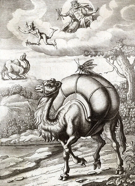 MERCURY AND THE CAMEL