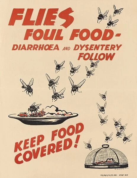 WW2 Poster -- Flies Foul Food -- Keep Food Covered