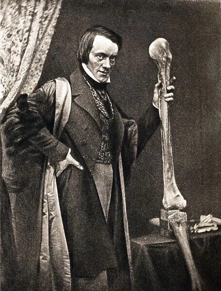 1846 Richard Owen and Moa leg fossil