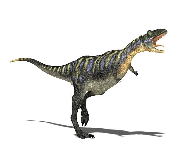 Aucasaurus dinosaur, computer artwork
