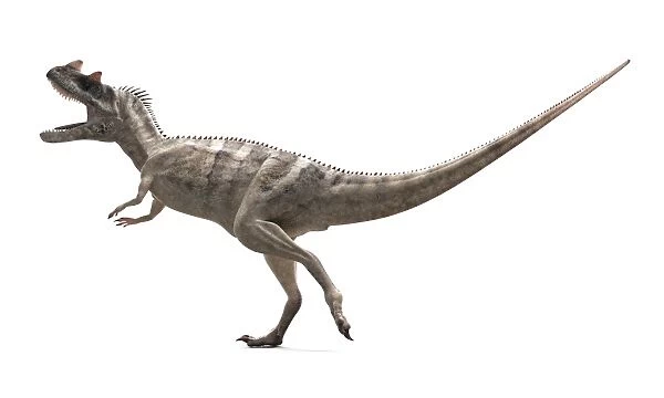Ceratosaurus dinosaur, artwork F007  /  6837