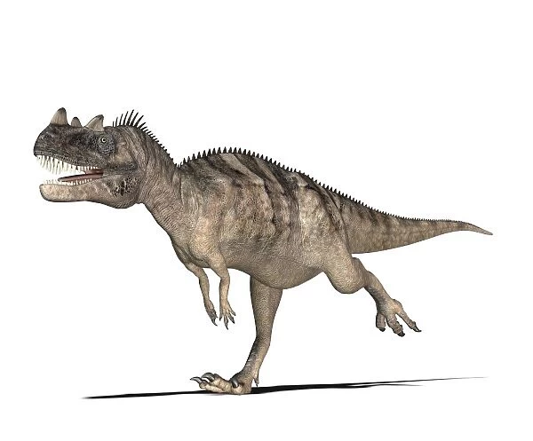 Ceratosaurus dinosaur, computer artwork