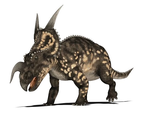 Einiosaurus dinosaur, artwork