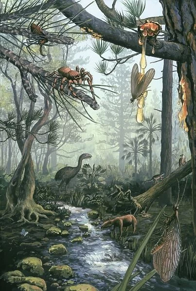 Eocene forest landscape, artwork C016  /  5349