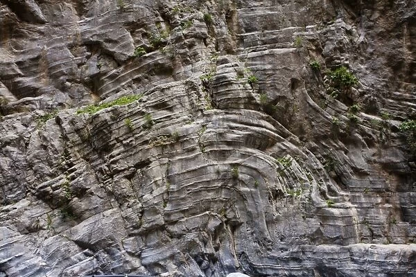 High limestone cliffs, Greece C016  /  3529