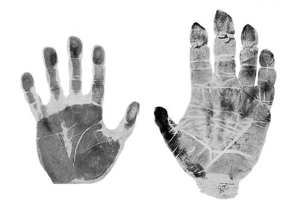 Human and gorilla handprint