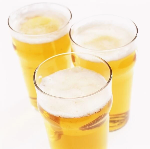 Lager. Three pint glasses filled with lager