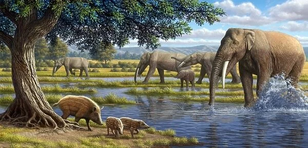 Mammals of the Miocene era, artwork