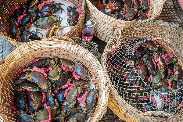 Baskets of live crabs for sale at Central Market (Psah Thom Thmey), Phnom Penh, Cambodia