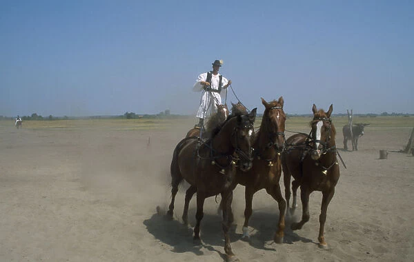 20057606. HUNGARY Bugac Csarda Cossack horseman driving team of five horses