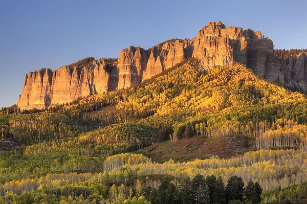 USA, Colorado. Autumn color below Cimarron Ridge