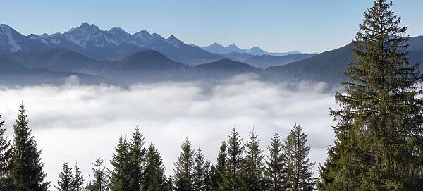 View from Mount Hoernle over a sea of fog hiding the valley of river Ammer towards
