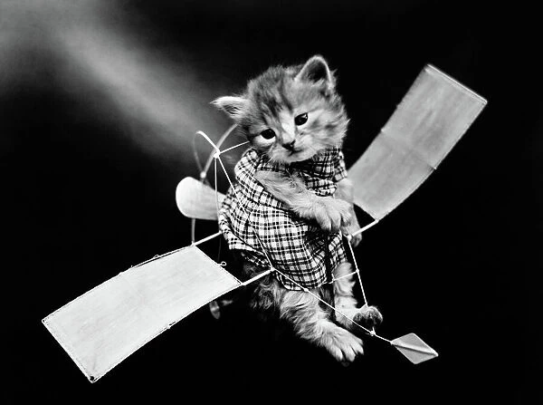 The aviator Photograph by Harry Whittier Frees, c1914