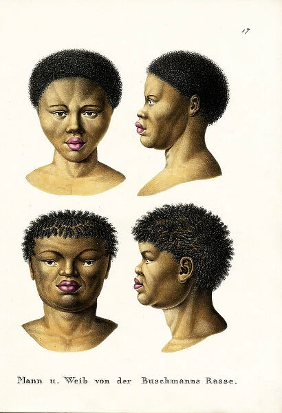 Bushmen, 1824 (colour litho)