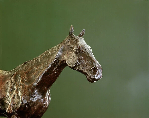 Horses Head (bronze) (detail of 335585)