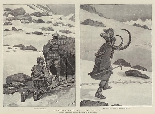 Ibex-Shooting in India (engraving)