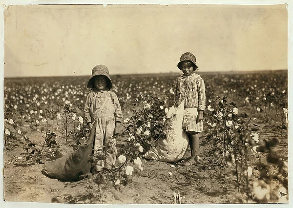 Jewel and Harold Walker, 6 and 5 years old, pick 20 to 25 pounds of cotton a day at Geronimo