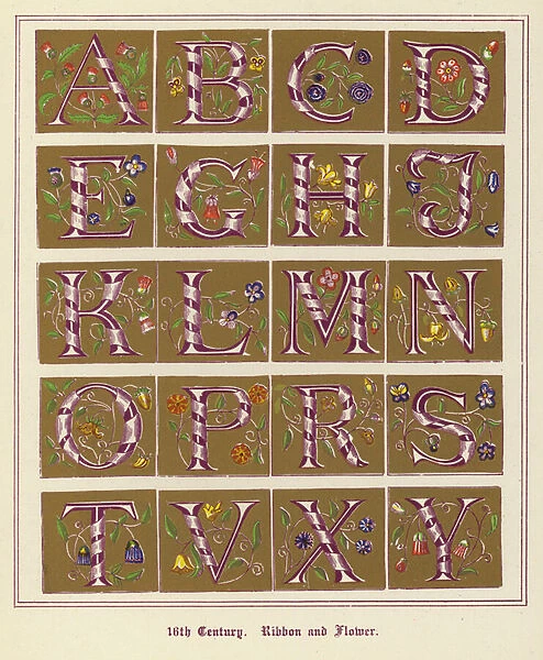 Mediaeval Alphabets and Initials: 16th Century, Ribbon and Flower (colour photo)