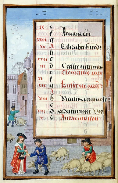 Ms 1058-1975 f11v Selling Pigs at the Market, illuminated calendar page for November