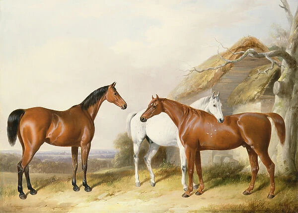 Outside the Stable, 1845