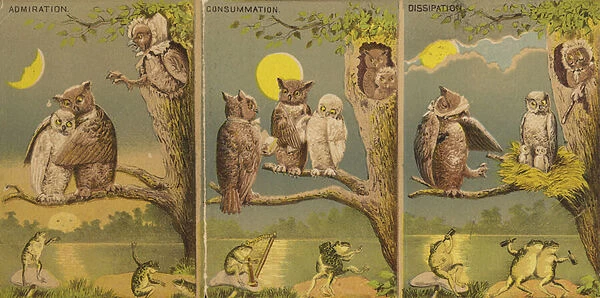 Owls (chromolitho)