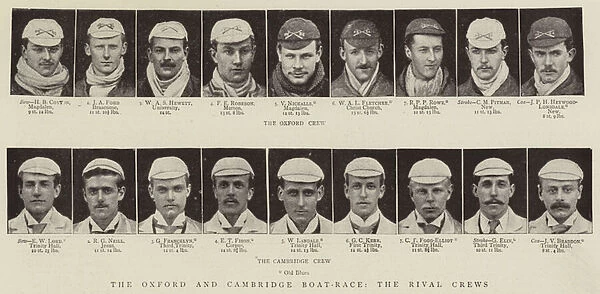 The Oxford and Cambridge Boat-Race, the Rival Crews (b  /  w photo)