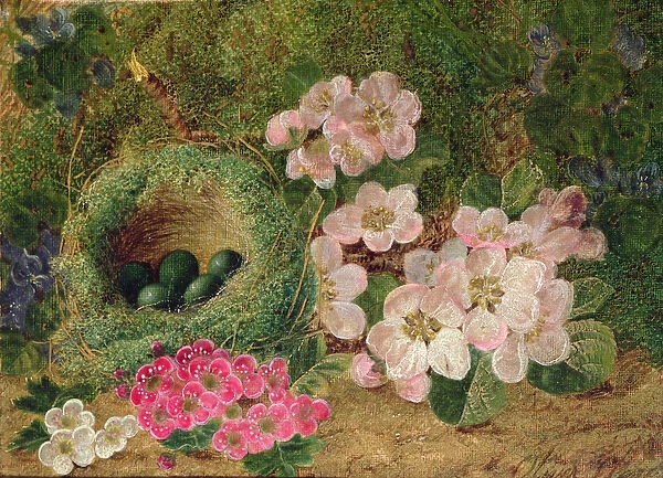 Primroses by a Birds Nest (oil on canvas)