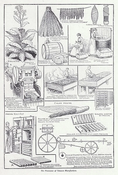 The processes of tobacco manufacture (litho)