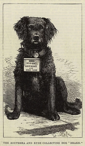 The Southsea and Ryde Collecting Dog 'Brake'(engraving)
