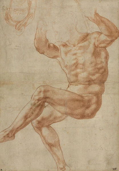 Study for the Nude Youth over the Prophet Daniel, for the Sistine Ceiling