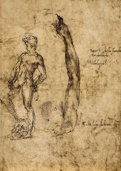 Study for the statue of David; drawing by Michelangelo. The Louvre, Paris