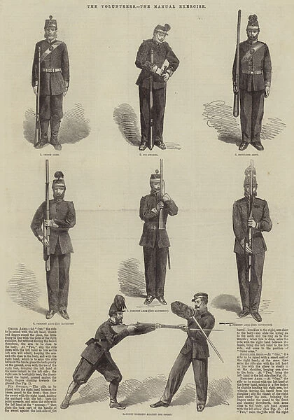 The Volunteers, the Manual Exercise (engraving)