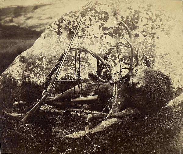 Dead stag sling Capt Horatio Ross British 1801