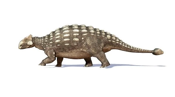 3D rendering of an Ankylosaurus dinosaur