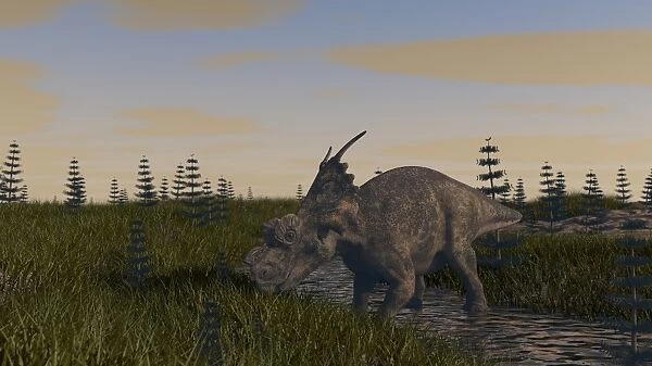 Achelousaurus grazing in swamp
