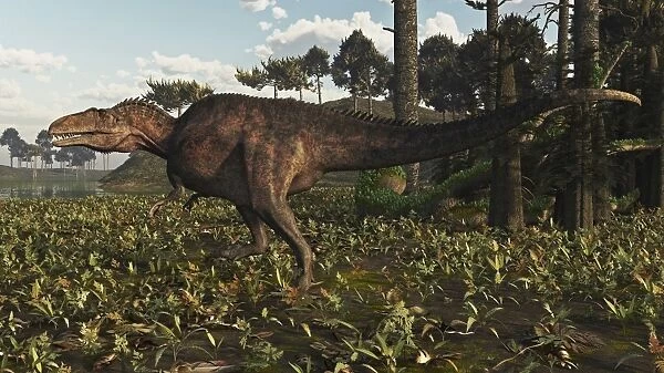 Acrocanthosaurus dinosaur roaming a Cretaceous landscape