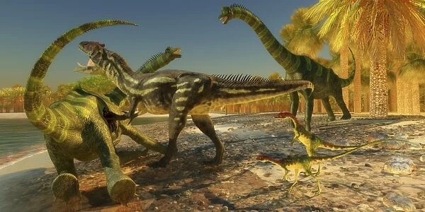 An Allosaurus dinosaur brings down a huge Brachiosaurus