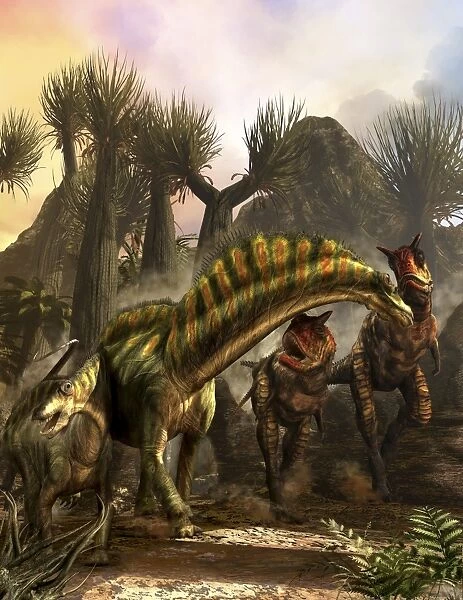 Amargasaurus is fending off a pack of Carnotaurus
