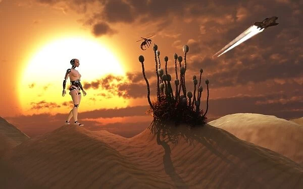 An android harvesting a rare plant on a desert alien world