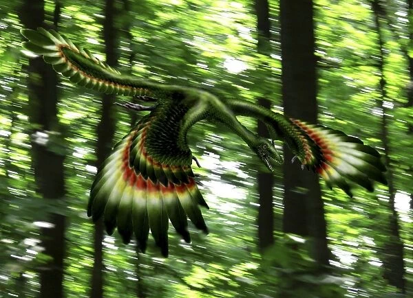 Archaeopteryx flying through a forest