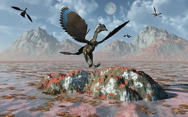 An Archaeopteryx landing on a rock during the Jurassic Period