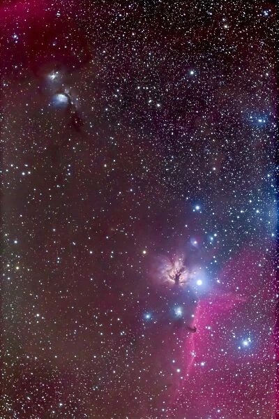 Area around the Belt of Orion, with the Horsehead and Flame Nebula