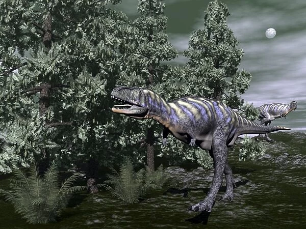 Aucasaurus dinosaur amongst wollemia trees and onychiopsis plants