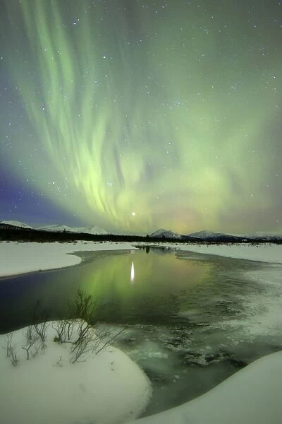 Aurora borealis over a creek by Fish Lake, Yukon, Canada