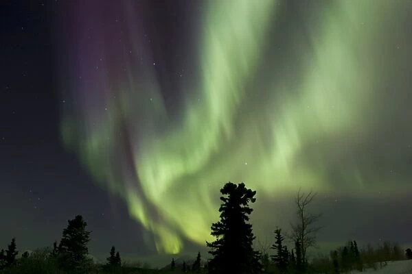 Aurora borealis by Fish lake, Whitehorse, Yukon, Canada